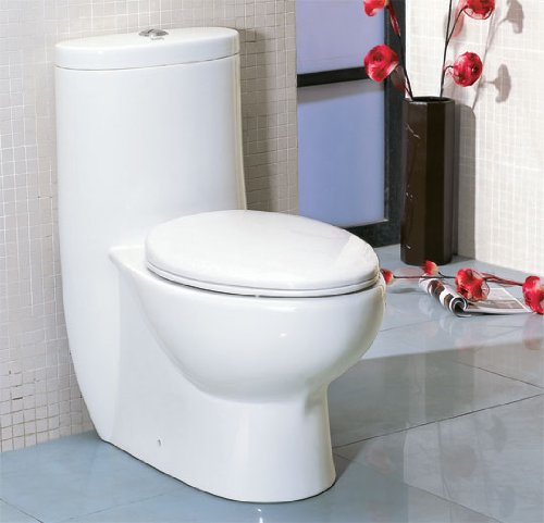 LUXExclusive Eco-Friendly Toilet EG-TB309. 28 3/8 '' x 16 '' x 30 6/8 '', White