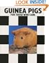 Guinea Pigs for Those Who Care