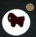 3" button / pin printed with puli, dog, pet, animal