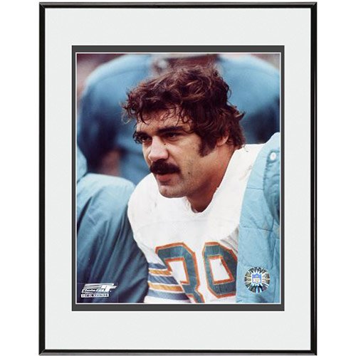 Photo File Miami Dolphins Larry Csonka Sidelines Framed Photo