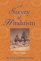 A Survey of Hinduism