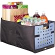 Large Trunk Organizer