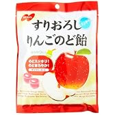 すりおろしりんごのど飴 90g×12個