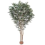 【人工植物】ベンジャミン 鉢無 2.7m
