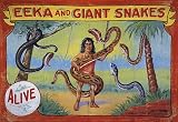 FREAK GEEK CIRCUS EEKA GIANT SNAKE VINTAGE POSTER REPRO