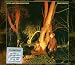 Echo And The Bunnymen-Crocodiles