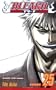 Bleach, Vol. 25