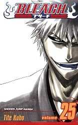 Bleach, Vol. 25