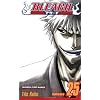 Bleach, Vol. 25