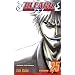 Bleach, Vol. 25