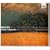 Brahms: Piano Concerto No. 1; Haydn Variations