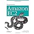 Programming Amazon EC2