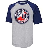 Nike Boston Red Sox Ash MLB Raglan T-shirt