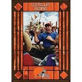 Cleveland Browns Art Glass Frame