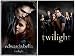 Twilight Movie Posters ~ Set of 2 Different ~ Vampire Romance Film ~ 24x36 EACH ~ a Giant 4 Feet W I D E Total!