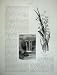 1886 Australia Mount Macedon Trentham Falls Tasmanica