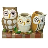 Allure Home Creations Hoot Toothbrush Holder by Allure Home Creations