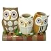 Allure Home Creations Hoot Toothbrush Holder
