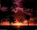 John Wagner Tropical Sunset Art Print POSTER RARE - 20" x 16"
