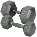 Champion Barbell 20-Pound Solid Hex Dumbell with Ergonomic Grip
