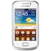 Samsung Galaxy Mini 2, Display 3.27