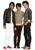 Jonas Brothers Standups