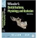 Wheeler's Dental Anatomy, Physiology and Occlusion