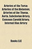 Arteries of the Torso: Arteries of the Abdomen, Arteries of the Thorax, Aorta, Subclavian Artery, Common Carotid Artery, Internal Iliac Arter-