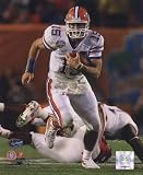 Tim Tebow University of Florida Gators 2009 Action - Licensed Photo by PhotoFile (8x10)