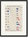 Black Framed/Matted Print 17x23, Metals and Their Compounds with Oxygen