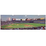 Good Sports Art Texas Rangers Texas Twilight Heat Lithograph