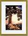 Gold Framed/Matted Print 17x23, Hilltop
