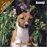 Basenji 2008 Wall Calendar