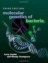 Molecular Genetics of Bacteria