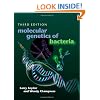 Molecular Genetics of Bacteria, Third Edition (Snyder, Molecular Genetics of Bacteria)