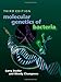 Molecular Genetics of Bacteria