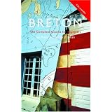 Colloquial Breton (Colloquial Series)