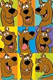 Scooby-doo! (Faces) - Maxi Poster - 61 cm x 91.5 cm