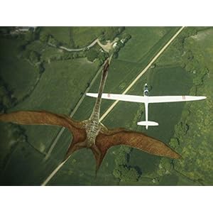 National Geographic - Les monstres volants 3D [Blu-ray 3D]