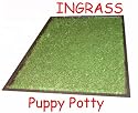 New! Ingrass Puppy Potty Bigger & Deeper Now! Free Bottle of Puppy Attraction Aid Spray 20" X 30" Indoor Outdoor