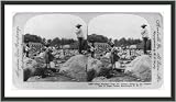 Historic Print (M): Huge boulders from the volcano borne to the destruction of Basse Pointe, Martinique, F.W