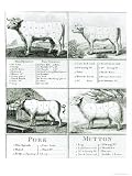 Beef, Veal, Pork, and Mutton Cuts, 1802 Art Giclee Poster Print by English School, 18x24