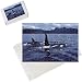 Photo Jigsaw Puzzle of Killer whale / Orca - Male (tall dorsal fin), and female from Ardea Wildlife