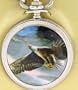 Eagle Pocket Watch.watches