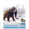 Mammuts: Riesen der Eiszeit