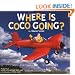 Where Is Coco Going?