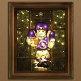 Minnesota Vikings 20