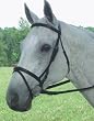 COLLEGIATE Padded Flash Bridle