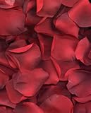 Rosenblätter, ROT, BORDEAUX, Durchmesser 50 mm, 100 Stück