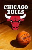 Chicago Bulls (Logo, Basketball) Sports Poster Print - 22x34 Poster Print, 22x34 Sports Poster Print, 22x34